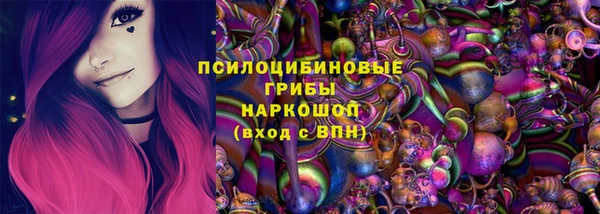 таблы Богданович