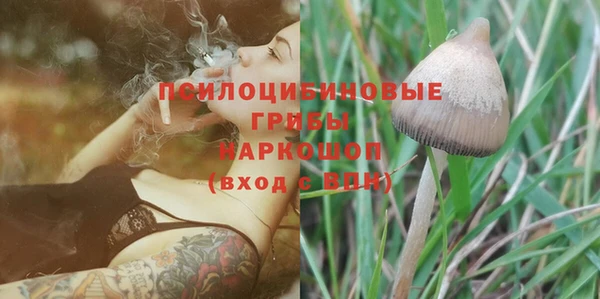 эйфоретик Богородск