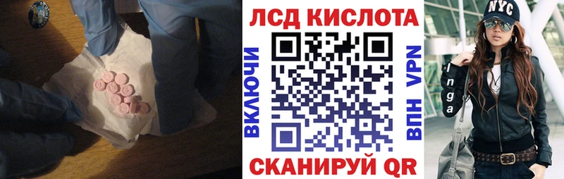 ЛСД экстази ecstasy  дарк нет Telegram  Каргополь 