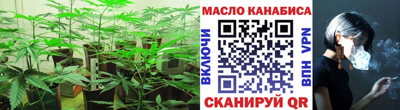 закладки  Каргополь  Дистиллят ТГК THC oil 