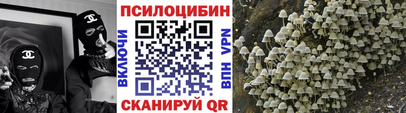 Галлюциногенные грибы GOLDEN TEACHER  гидра сайт  Каргополь 